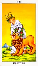 A tarot card, strength card, a woman and a lion.