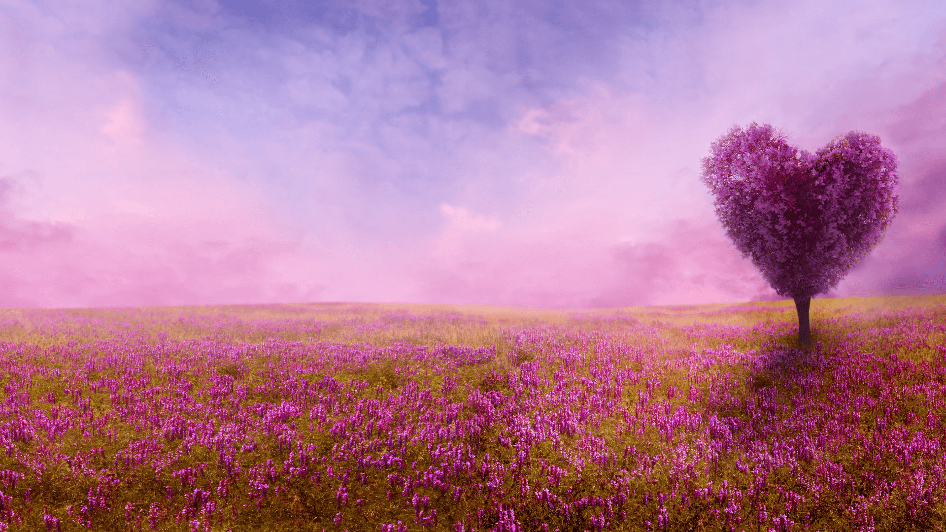 Giant tree in heart shape in the field of flowers in purple tint.