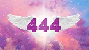 Angel number 444 with wings and with purple pink color background.